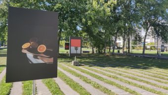 Une exposition photos en plein air au jardin François Mitterrand