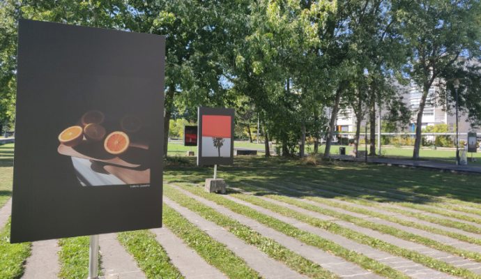 Une exposition photos en plein air au jardin François Mitterrand