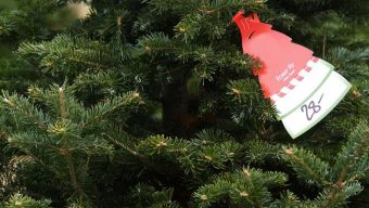 La ville met en place des points de collecte pour les sapins de Noël