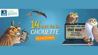 La ligue pour la protection des oiseaux organise la nuit de la Chouette