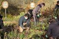 Terra Botanica - formation jardinier animateur