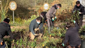 Une trentaine de personnes formées au métier de « jardinier animateur » à Terra Botanica