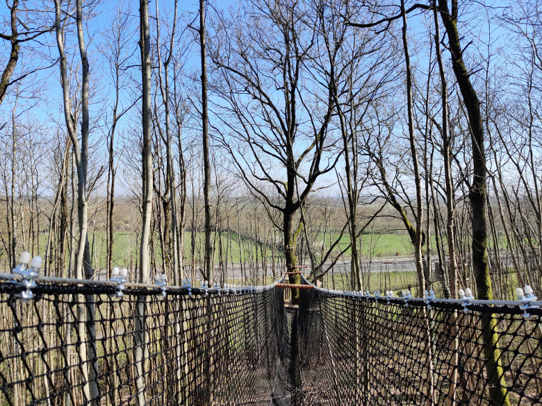 Parcours dans les arbres