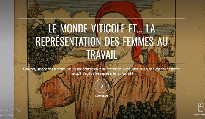 Le musée de la vigne et du vin d’Anjou s’expose en ligne