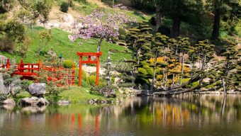 Réouverture du Parc oriental de Maulévrier ce samedi 8 mai