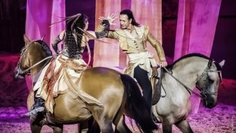 La billetterie de la 5e édition du Salon du cheval d’Angers est ouverte