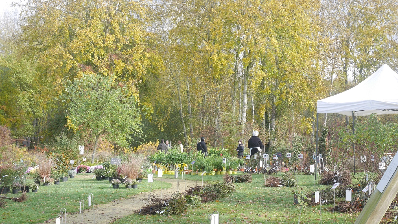 Fête des rosiers