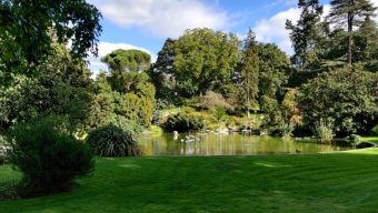 Tempête Ciaran : les parcs et jardins d’Angers vont être fermés