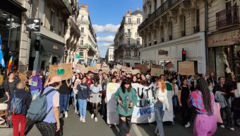 Entre 250 et 300 personnes dans les rues d’Angers pour le climat