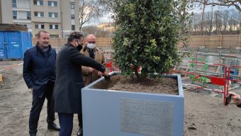 Un premier arbre pour l’ambitieux projet immobilier Arborescence