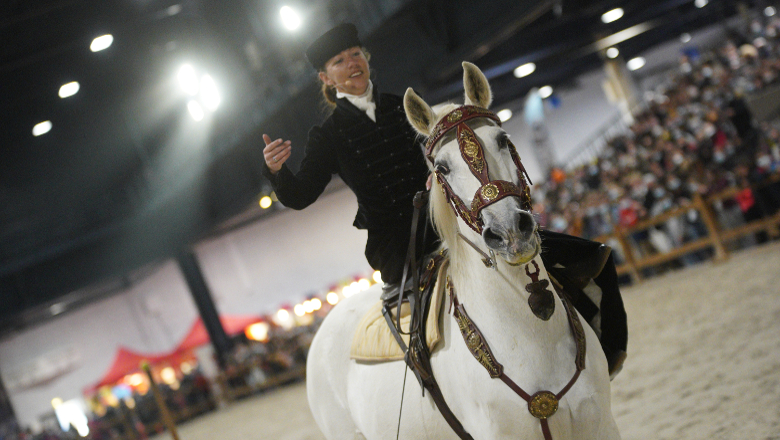 Salon du cheval