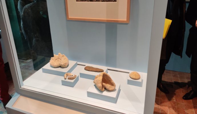 Le patrimoine archéologique angevin exposé en Belgique