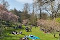 Parc oriental de Maulévrier - Hanami 2022