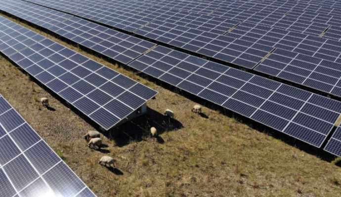 Déjà 150 personnes ont découvert la centrale photovoltaïque des Ponts-de-Cé