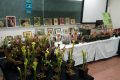 salon Edenia plantes exotiques