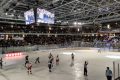 Ducs d'Angers - Iceparc