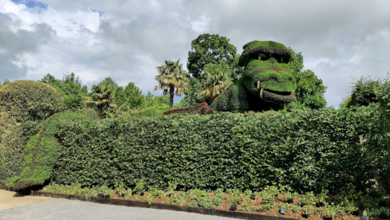 Dragon Terra Botanica