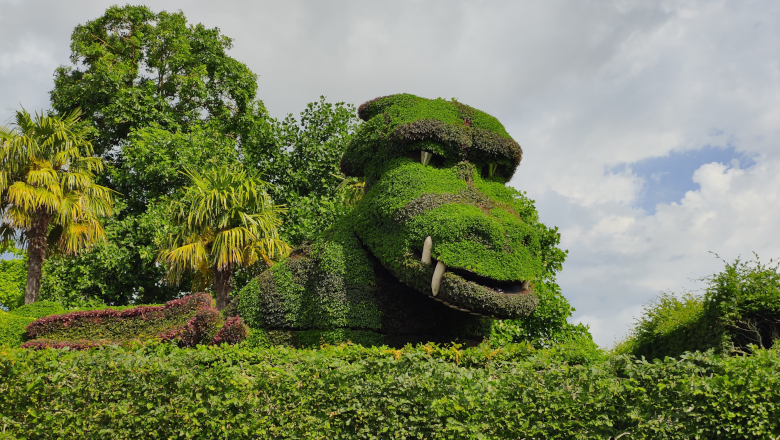 Dragon tête Terra Botanica