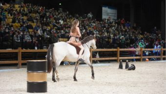 Le Salon du cheval fait son retour à Angers pour sa septième édition