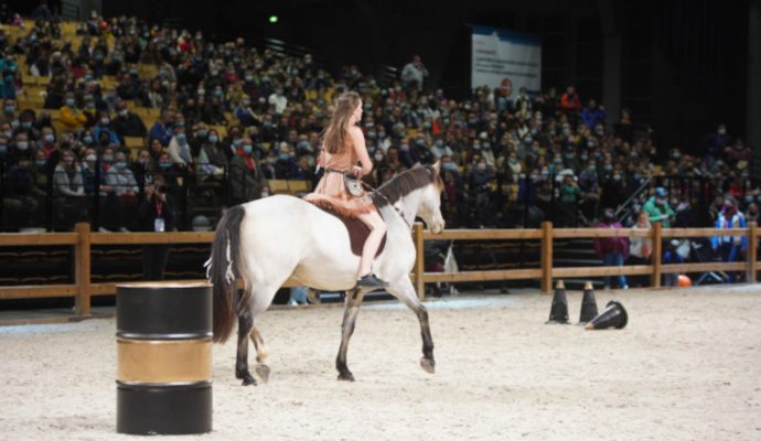 Le Salon du cheval de retour du 11 au 13 novembre au Parc des expositions d’Angers