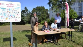 Une ferme urbaine voit le jour dans le quartier de Belle-Beille