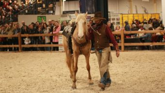 Plusieurs nouveautés au Salon du cheval d’Angers