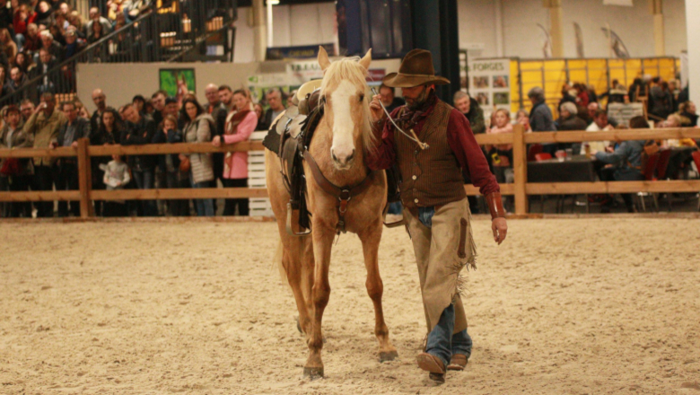 Salon du cheval