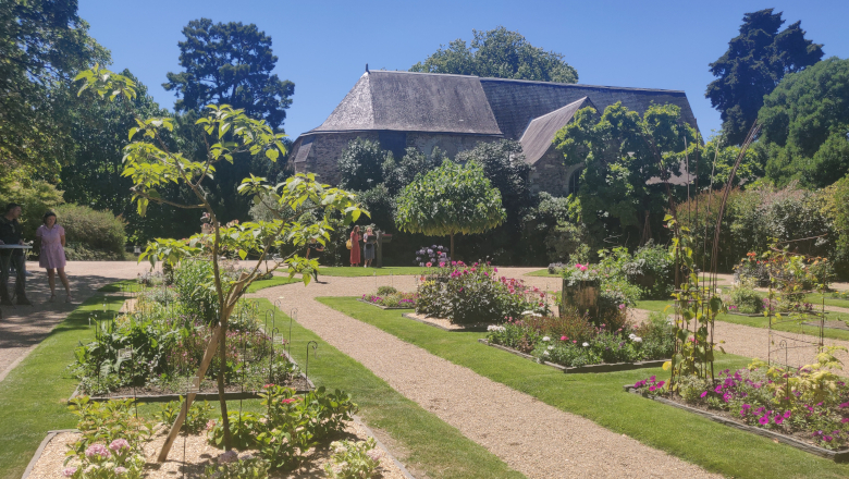 Jardin des plantes - plantes - fleurs