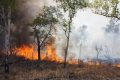 Incendie - feux de forêt