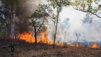 Le Maine-et-Loire placé en vigilance orange pour risque élevé d’incendie