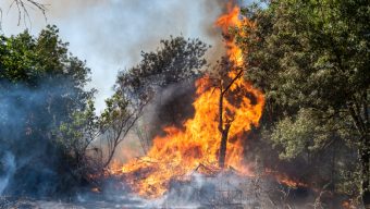 Lutte contre les feux de forêt : des moyens supplémentaires pour le Maine-et-Loire