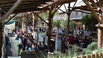 Le Bioparc de Doué-la-Fontaine organise une journée de découverte des métiers du monde animal