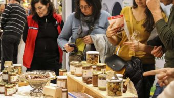 Un salon dédié aux vins et à la gastronomie s’installe au Parc des expositions du 25 au 28 novembre