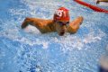 championnat de France de natation handisport