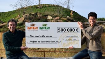 Le Bioparc de Doué-la-Fontaine fait 500 000 euros de dons aux ONG de protection de la nature