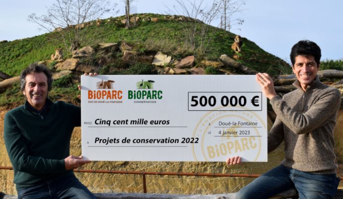 Le Bioparc de Doué-la-Fontaine fait 500 000 euros de dons aux ONG de protection de la nature