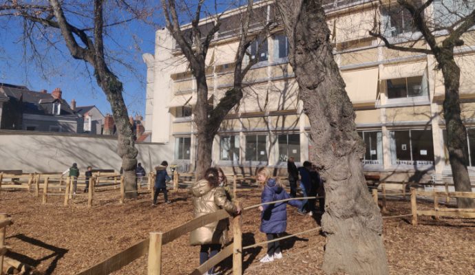 Les cours d’écoles angevines se végétalisent