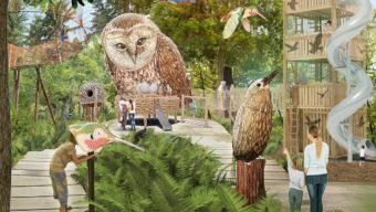 La Canopée des oiseaux, grande nouveauté de la nouvelle saison de Terra Botanica