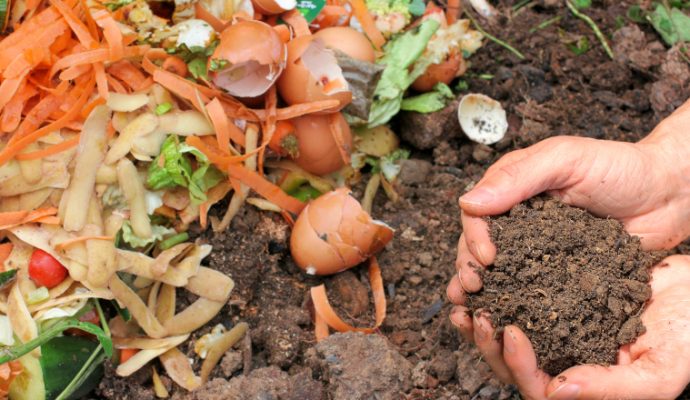 Un atelier pour apprendre à faire son compost