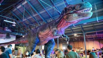 Une exposition sur les dinosaures les 18 et 19 mars à l’hippodrome d’Angers
