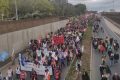 Cortège voies sur berges réforme des retraites