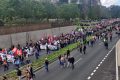 Cortège - Manif 1er mai