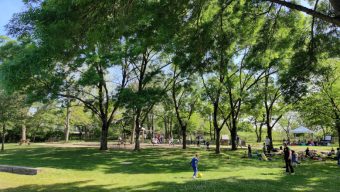 Le nouveau visage du parc Saint-Léonard