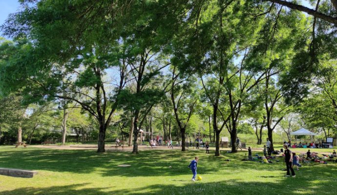 Le nouveau visage du parc Saint-Léonard