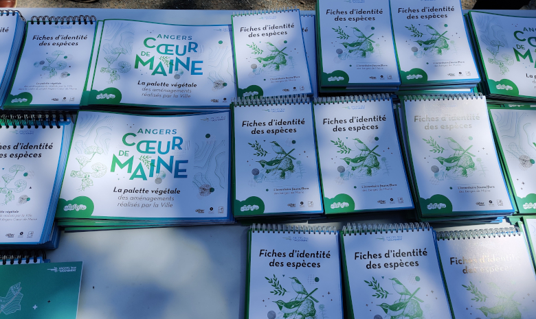 Distribution documents Maine