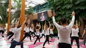 Les Yogis du cœur de retour à Terra Botanica ce vendredi 23 juin