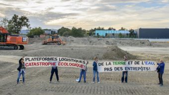 Ils déplorent le « saccage de haies et d’arbres centenaires pour la construction d’une plateforme logistique » près d’Angers