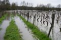 Loire - inondation - crue