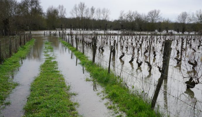 Grâce aux fortes pluies, les restrictions d’usage de l’eau prennent fin dans le Maine-et-Loire