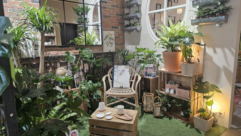 Silence ça pousse – véranda